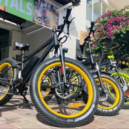 Puerto Vallarta City & Mountain ELECTRIC BIKE Tour