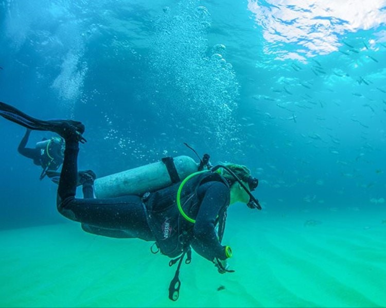 Scuba Diving Puerto Vallarta | PV Ocean Tours | All PVR Tours